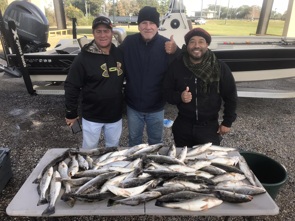 DCFishing Services