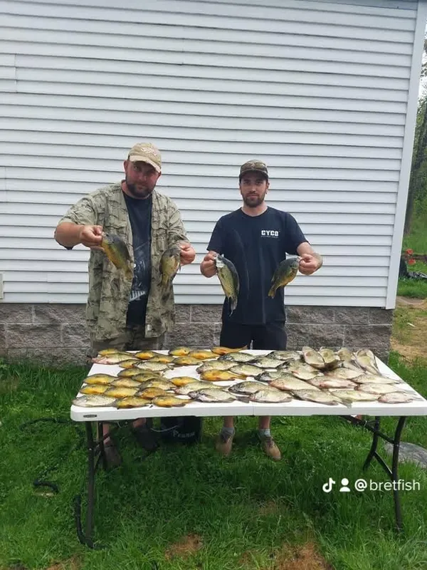 Wisco Brinks Fishing Service