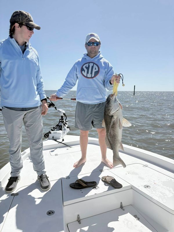 FINally Fishing Charters