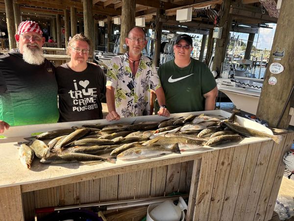 FINally Fishing Charters