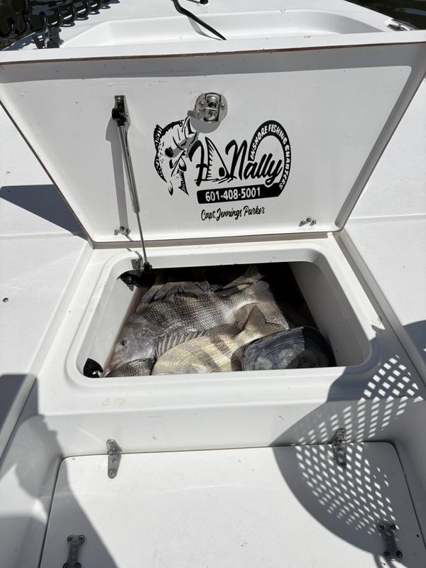 FINally Fishing Charters