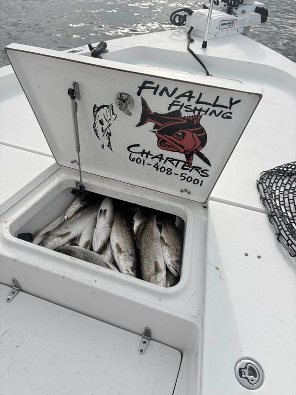 FINally Fishing Charters