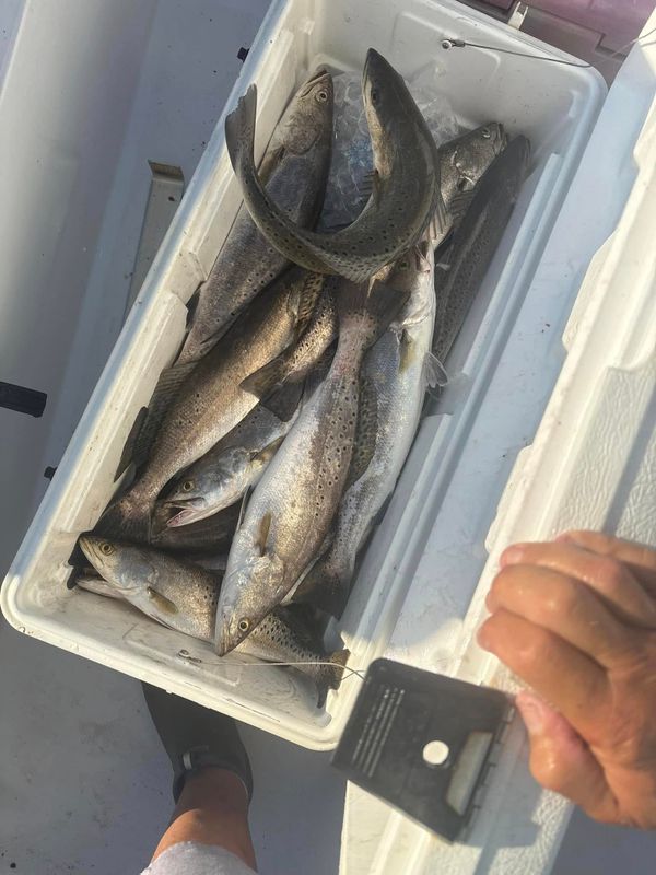FINally Fishing Charters