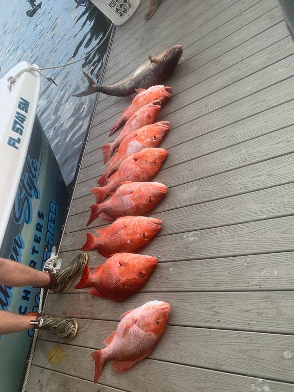 Southern Style Sport Fishing Charters