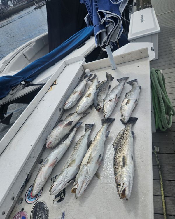 Southern Style Sport Fishing Charters