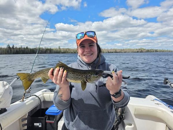 Swamp Fox Guide Service