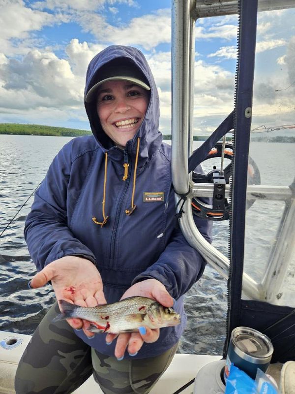 Swamp Fox Guide Service