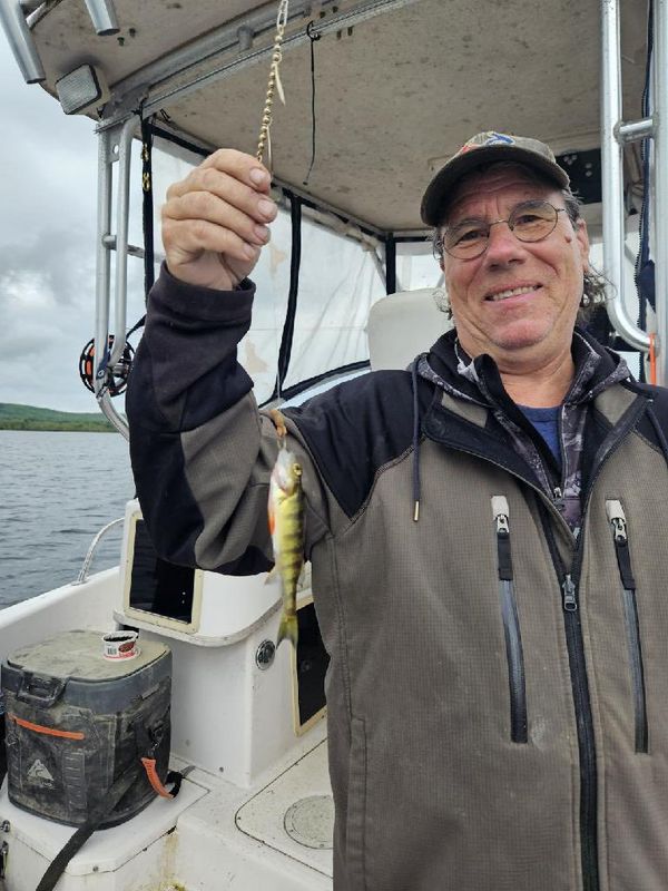 Swamp Fox Guide Service