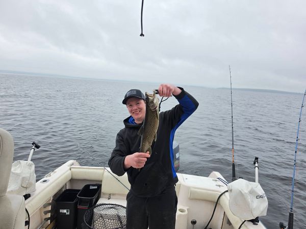 Swamp Fox Guide Service