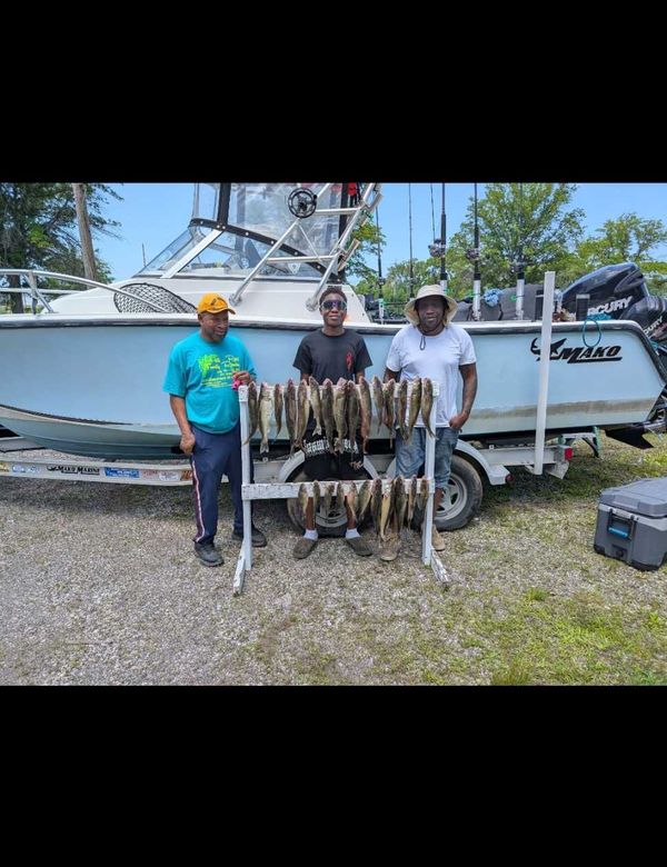 CJB Outfitters