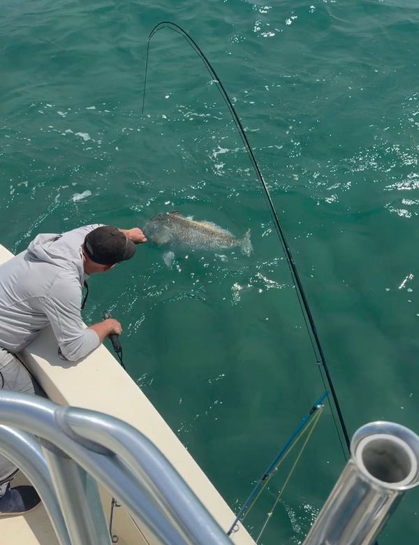 Flying Fish Charters