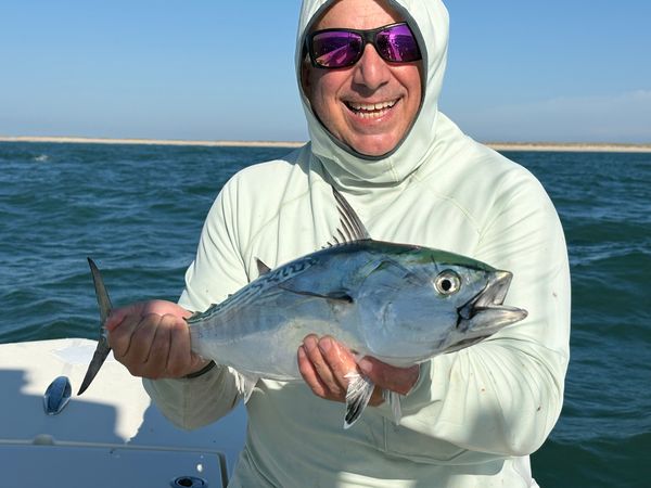 Flying Fish Charters