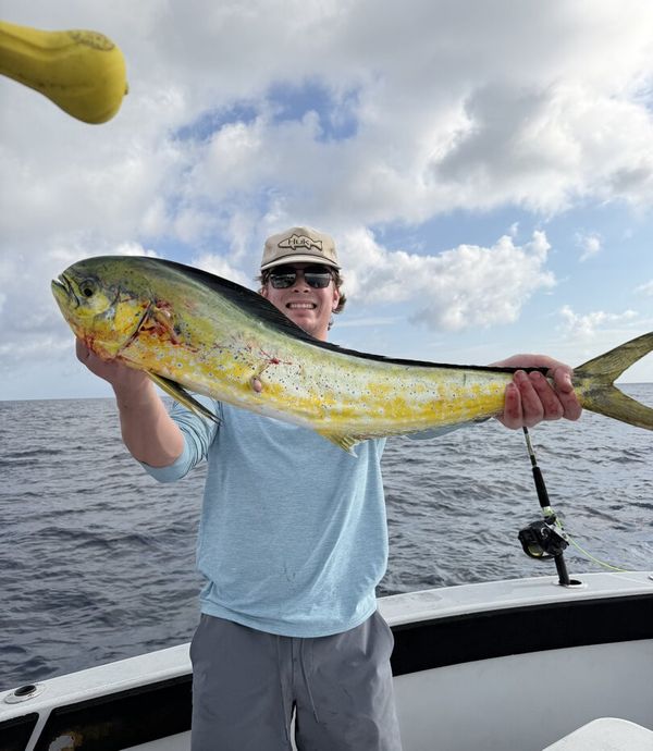 The Program Sportfishing Charters