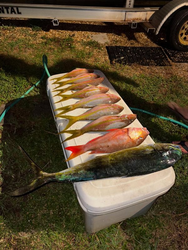 The Program Sportfishing Charters