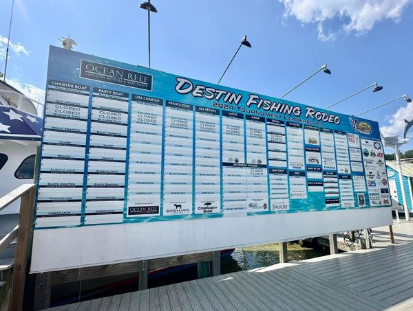 Kraken Reels Llc