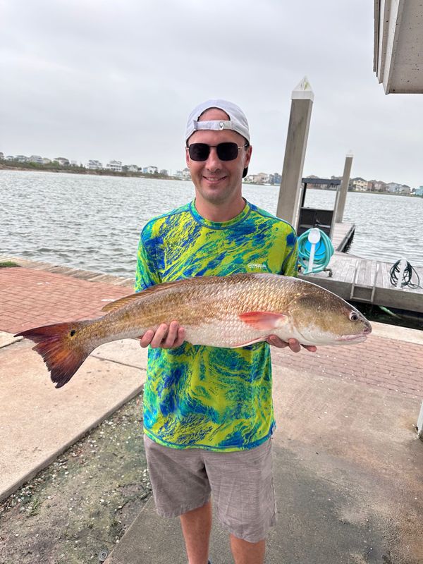 Get Fishy Charters