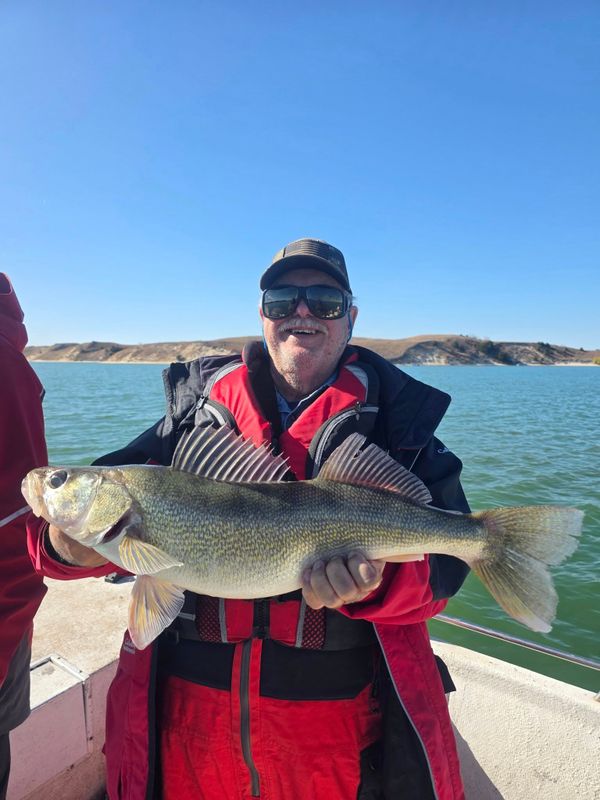 S.S. Fins & Feathers