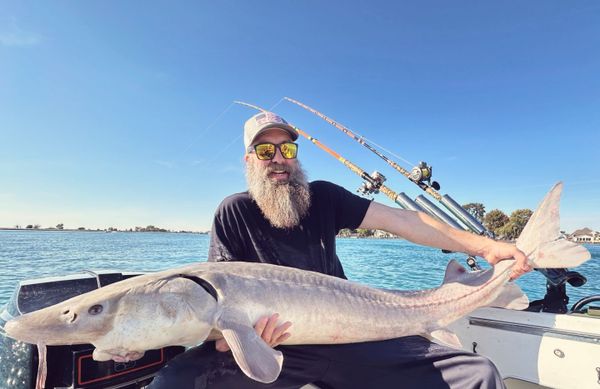 Rocket's Fishing Adventures