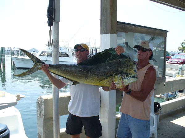 Fish Key West Florida