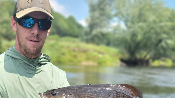 Maine Fly Guide LLC