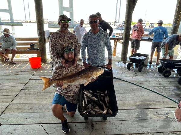 Reel Cajun Adventures