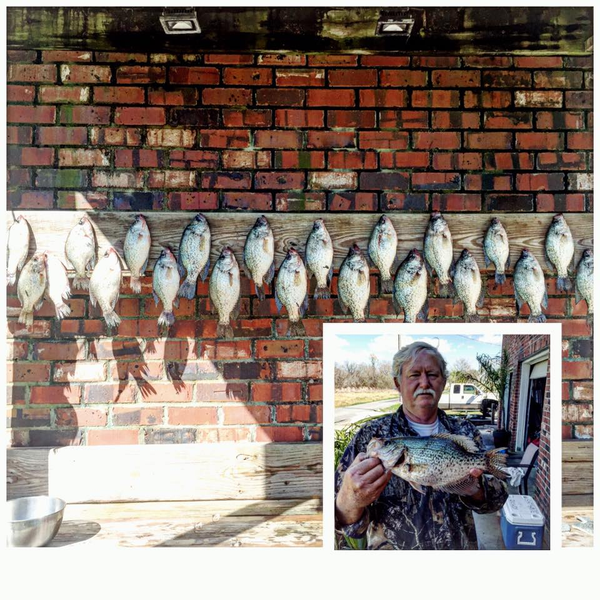 Reel Cajun Adventures