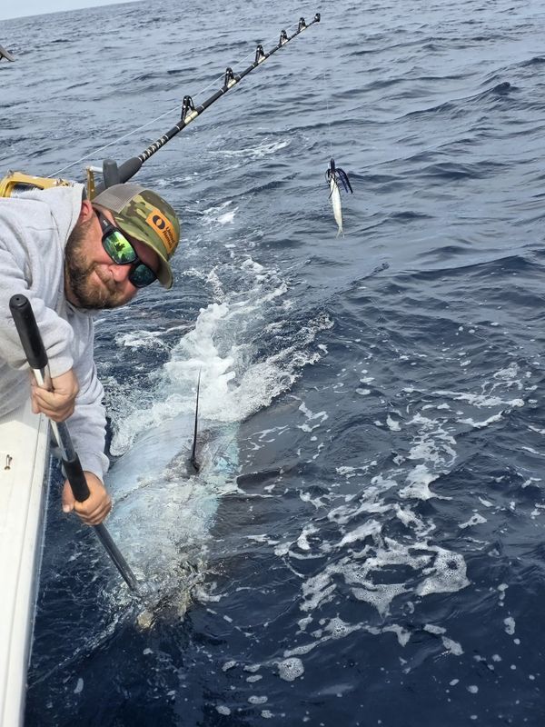 Chasin’ Wake Charters