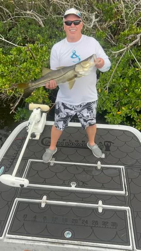 Florida Fish Invaders