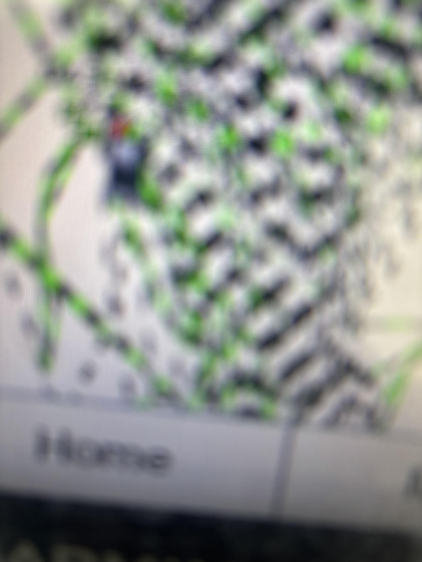 Bay Finatic Fishing Guide Service LLC