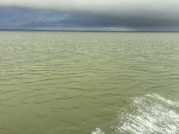 Bay Finatic Fishing Guide Service LLC