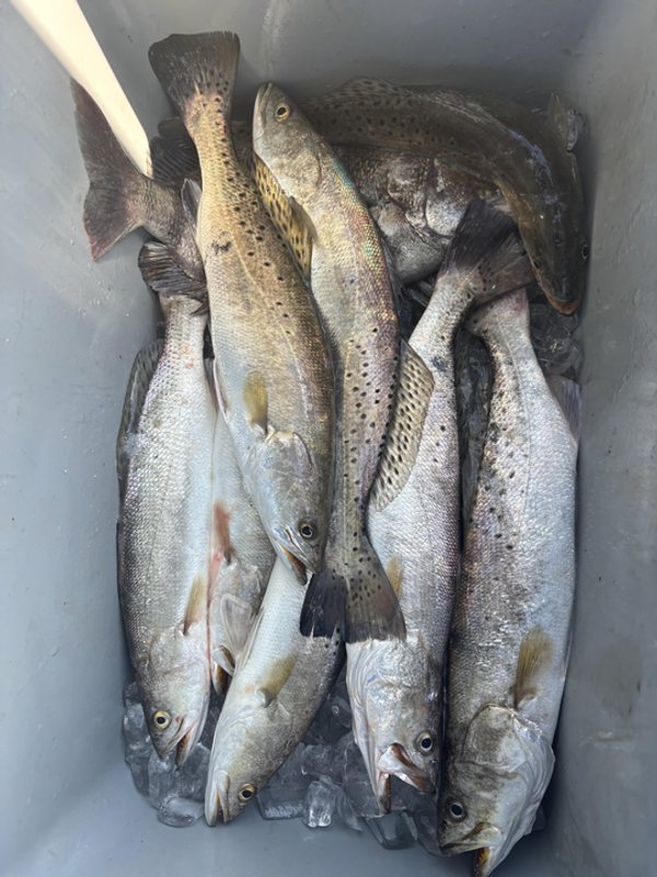 Bay Finatic Fishing Guide Service LLC