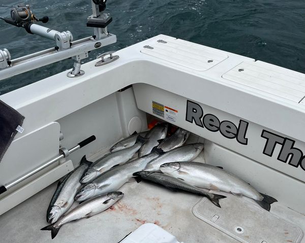 Reel Therapy Sportfishing