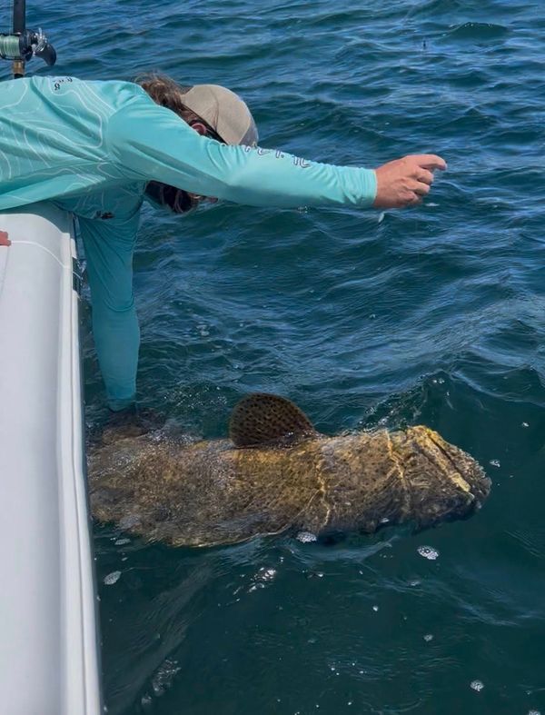 Kokomo Keys Charters