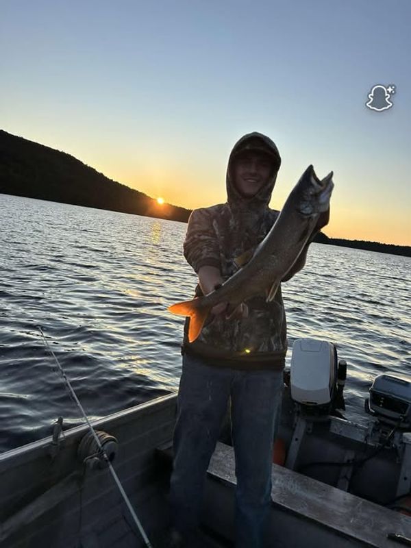 Palmer's Guided Hunts