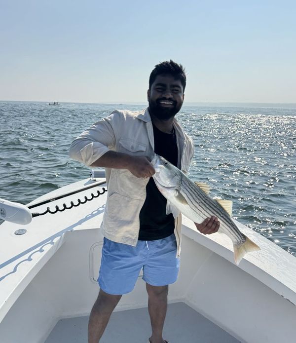 Great Marsh Outfitters