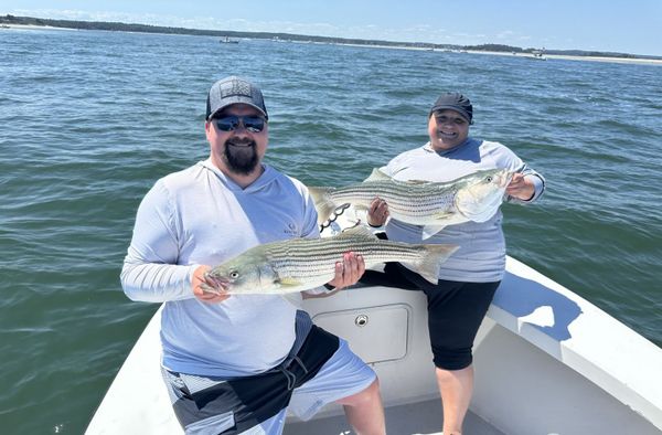 Great Marsh Outfitters