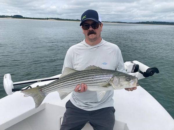 Great Marsh Outfitters