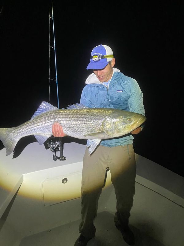 Great Marsh Outfitters