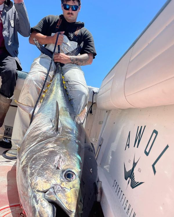 Awol Sportfishing