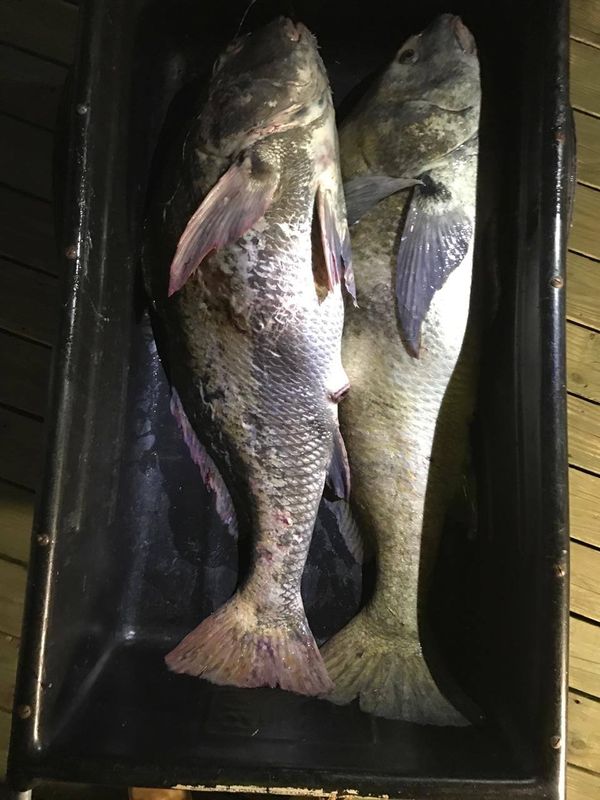 Prime Time II Sportfishing