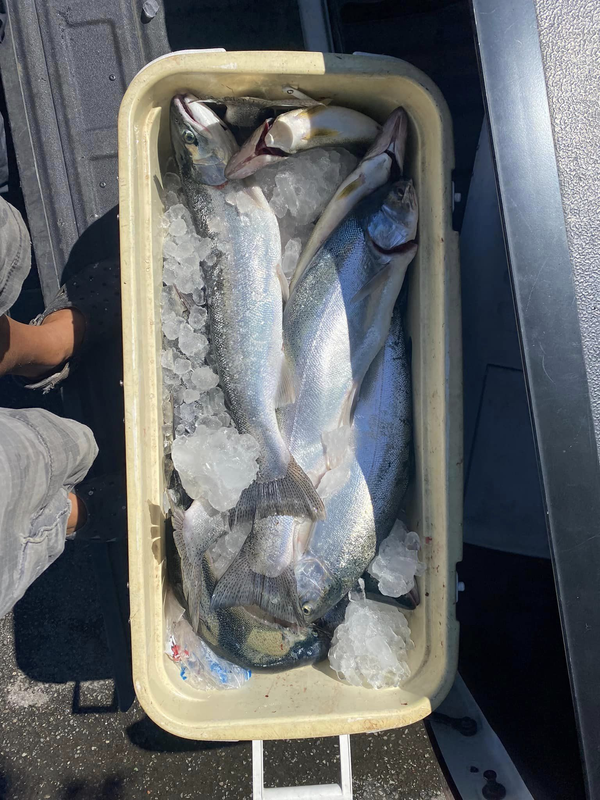 Bushwacker Fishing Charters