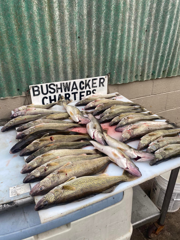 Bushwacker Fishing Charters