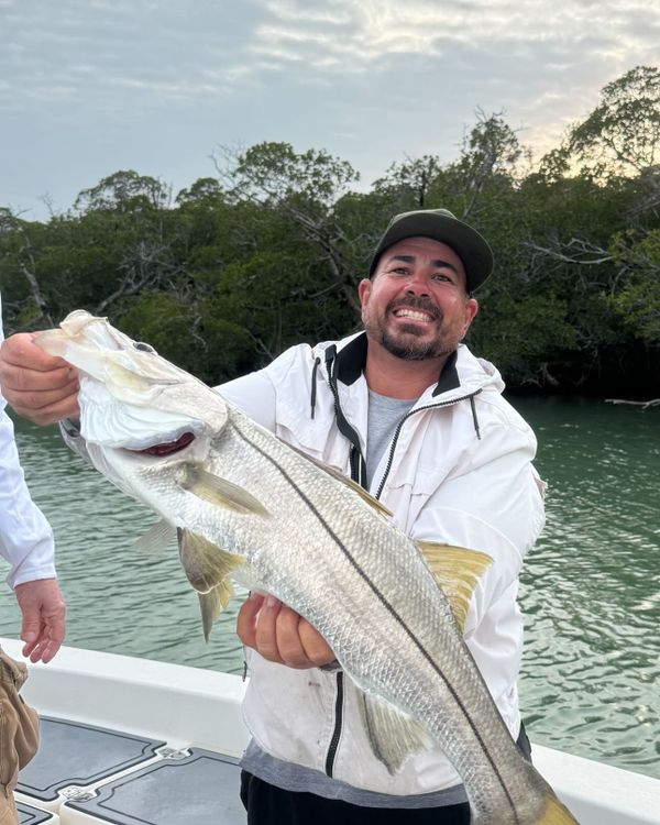 Local Grown Charters