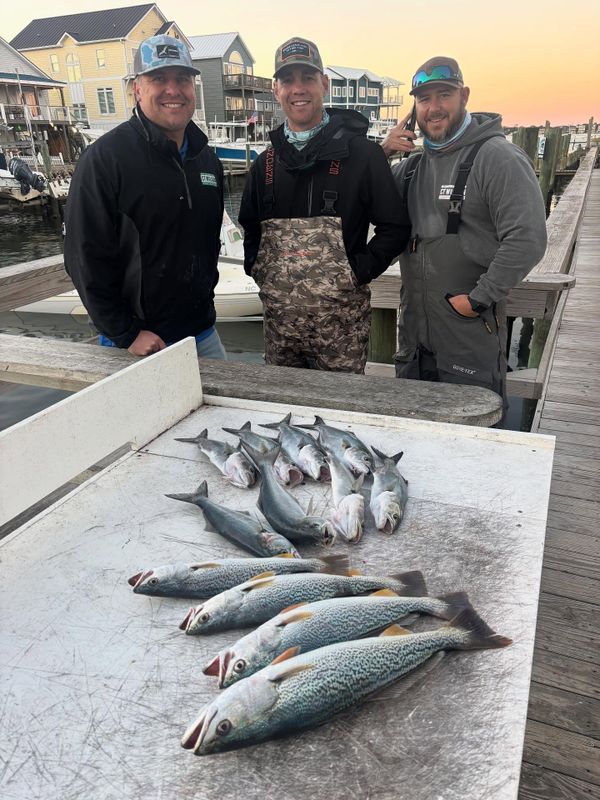On Deck Fishing Charters