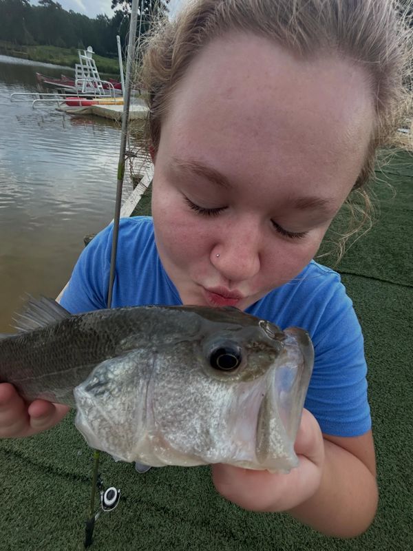 On Deck Fishing Charters