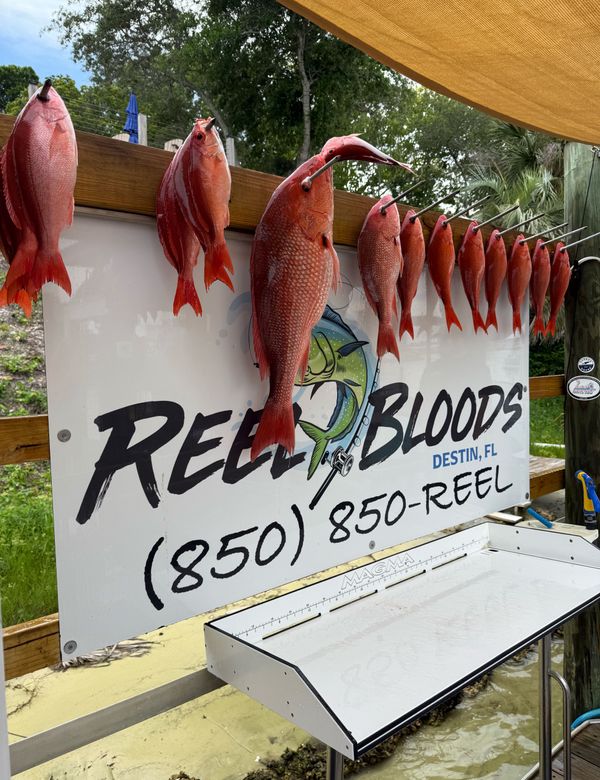Reel Bloods Fishing Charter
