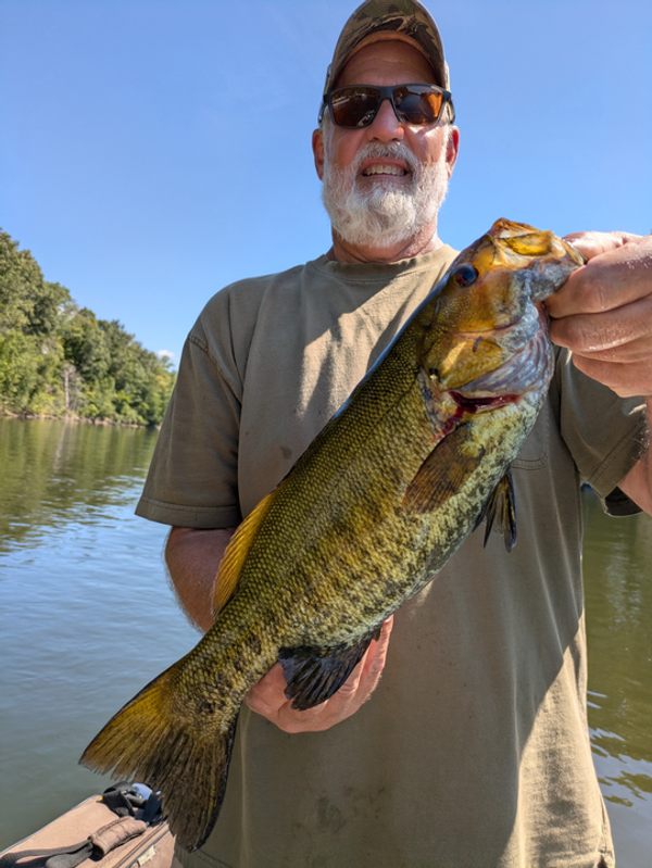 St Joe Angler