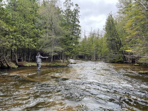 St Joe Angler