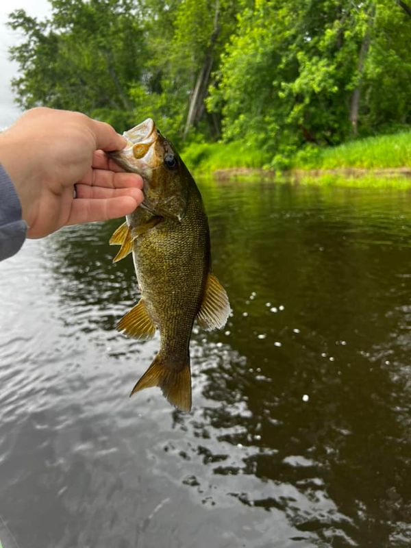 Black Stream Outfitters 