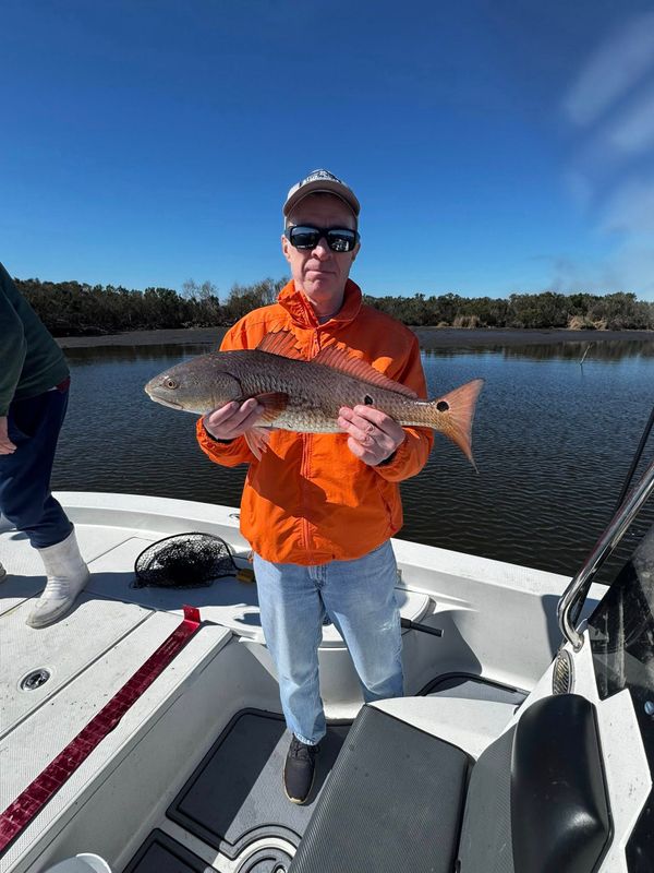 Down South Fishing Charters